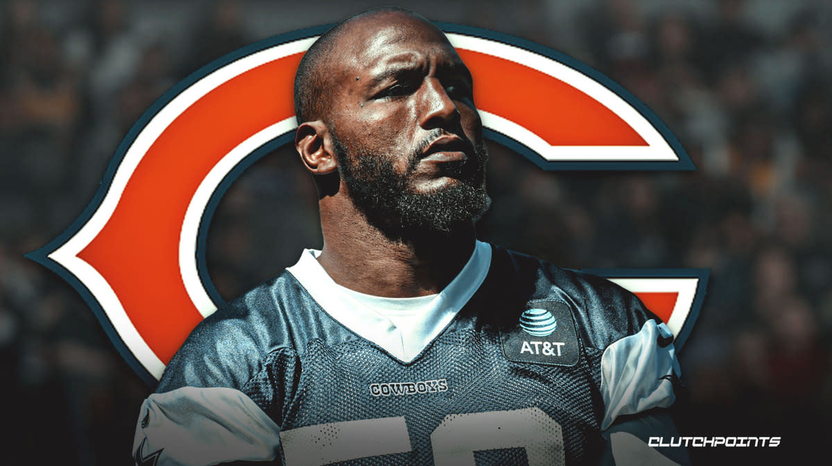 quinn bears 